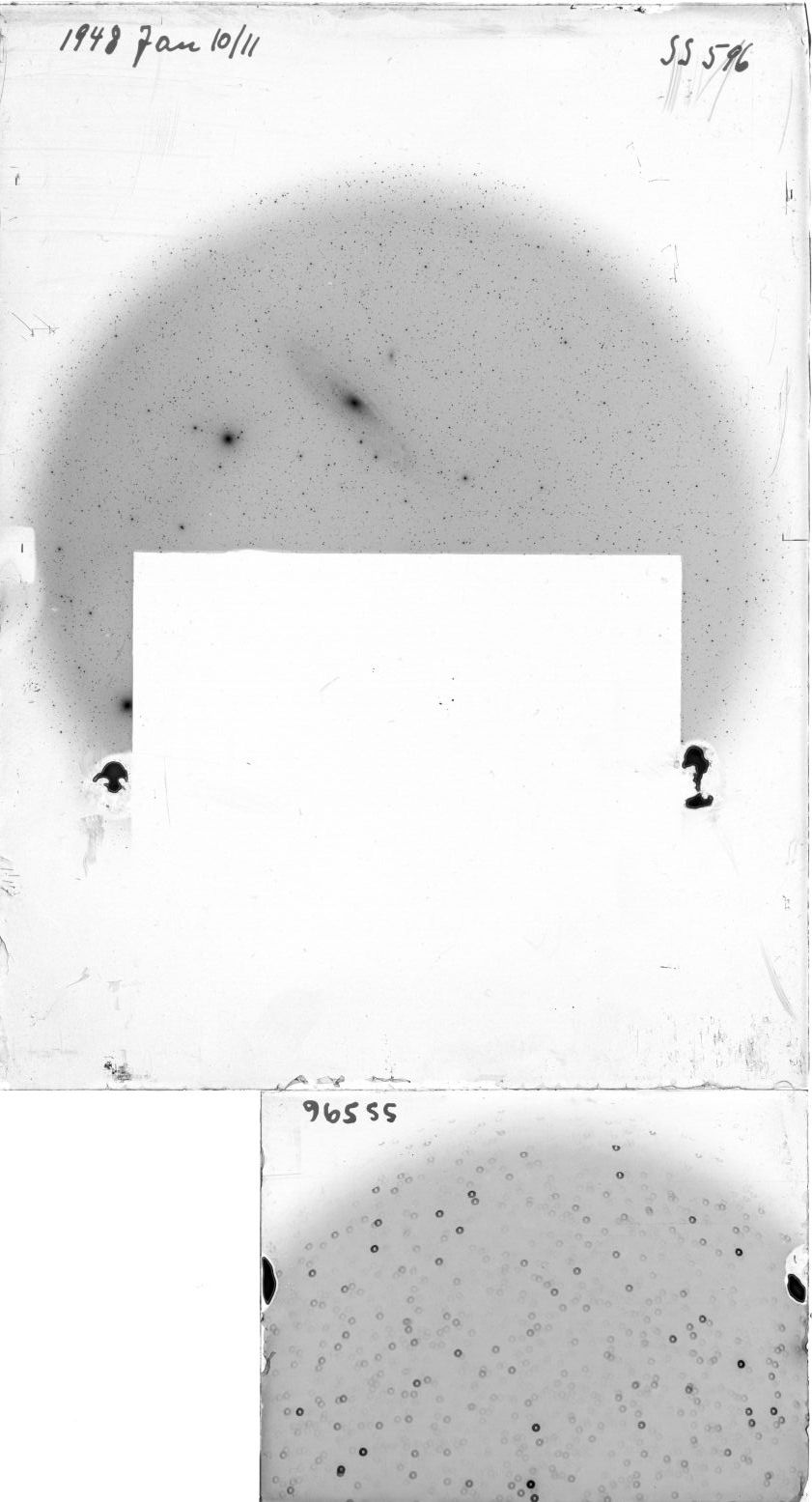Scan SS00596