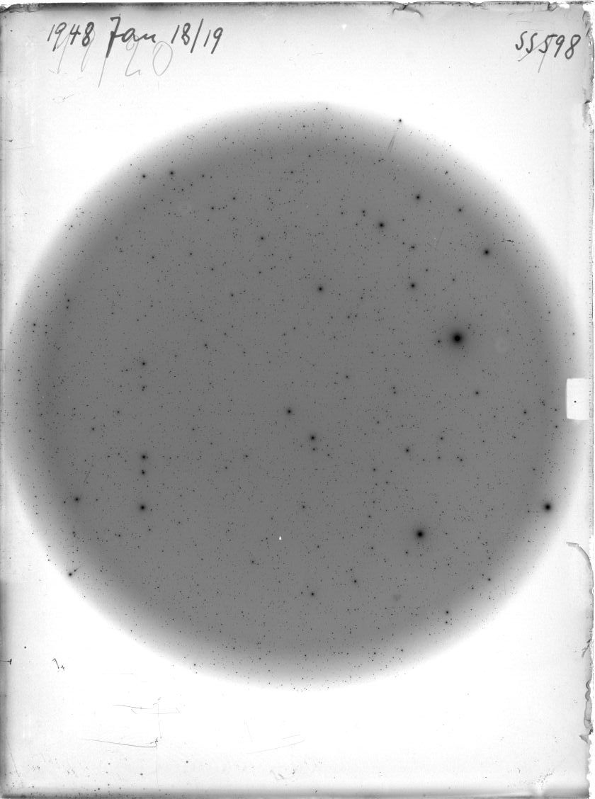 Scan SS00598