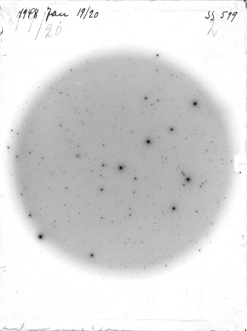 Scan SS00599