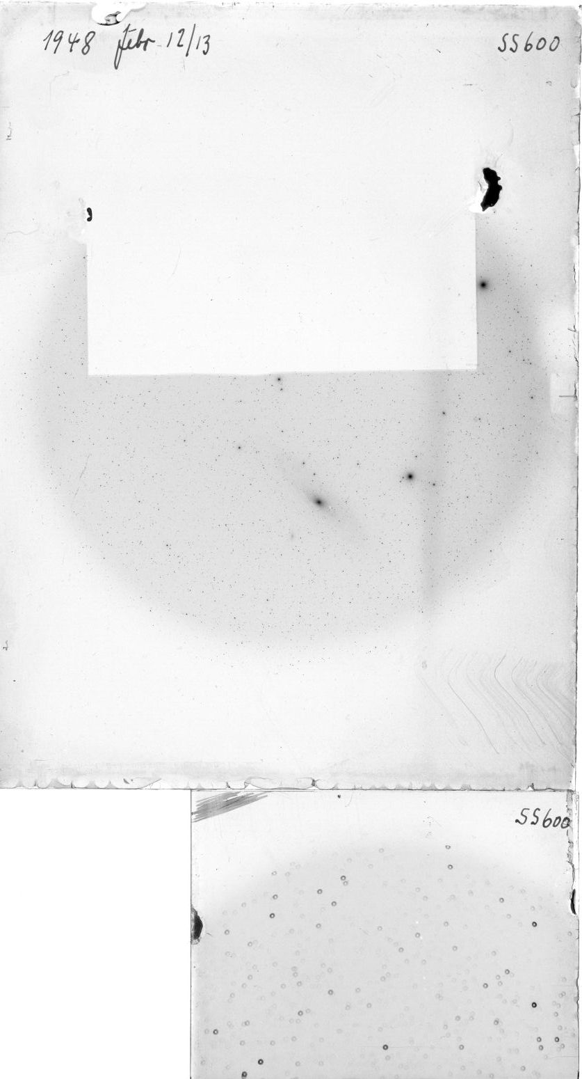 Scan SS00600
