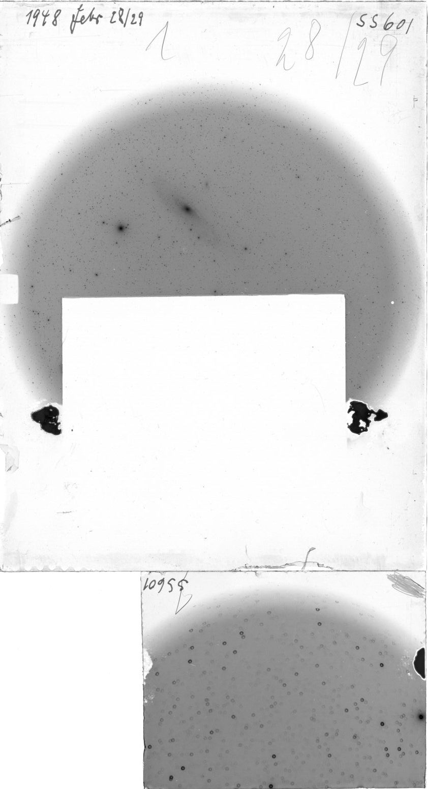 Scan SS00601