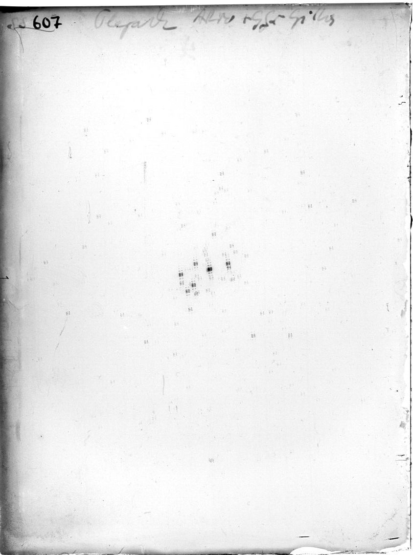 Scan SS00607