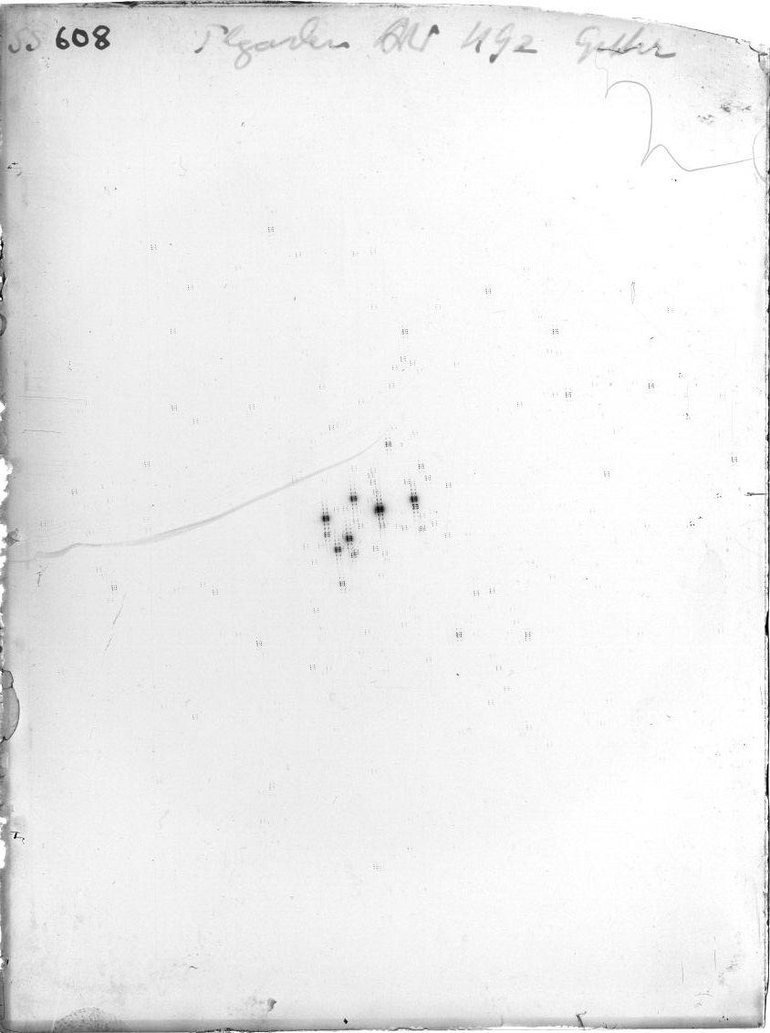Scan SS00608