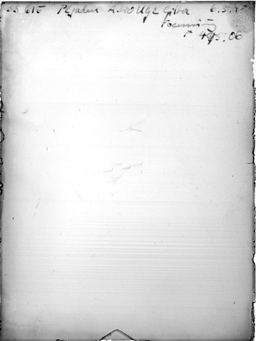 Scan SS00615