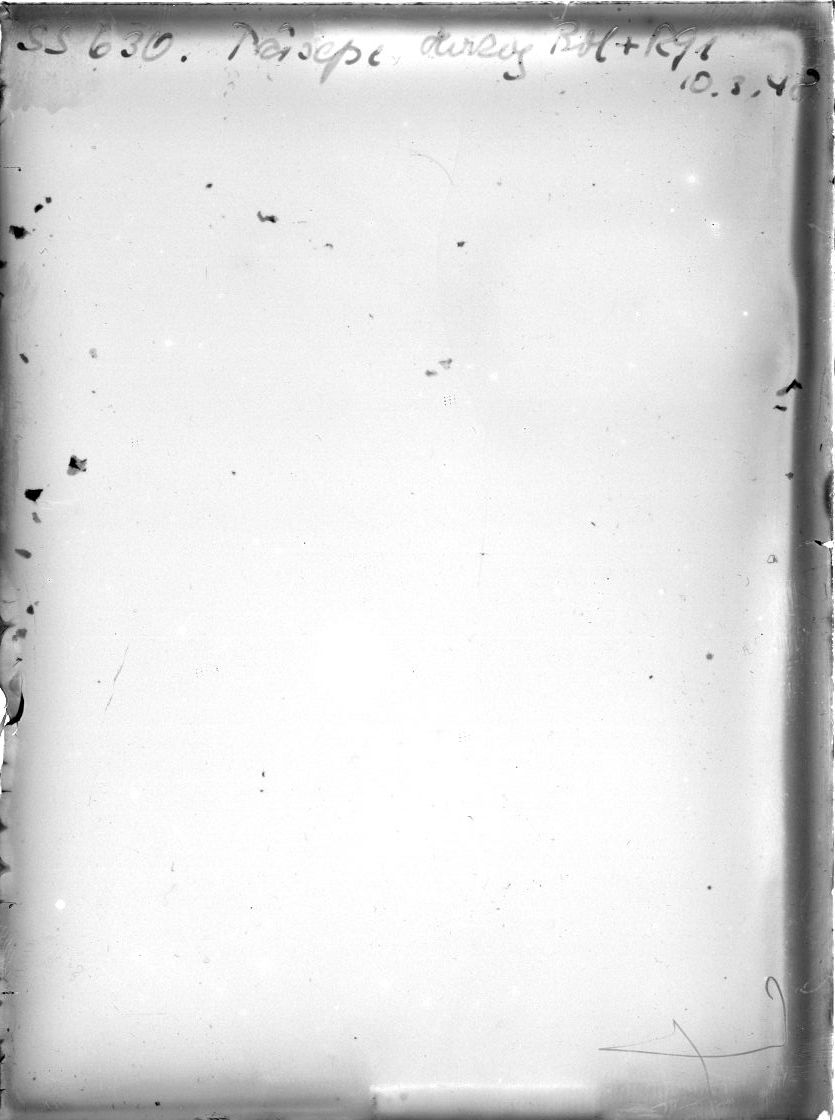 Scan SS00630