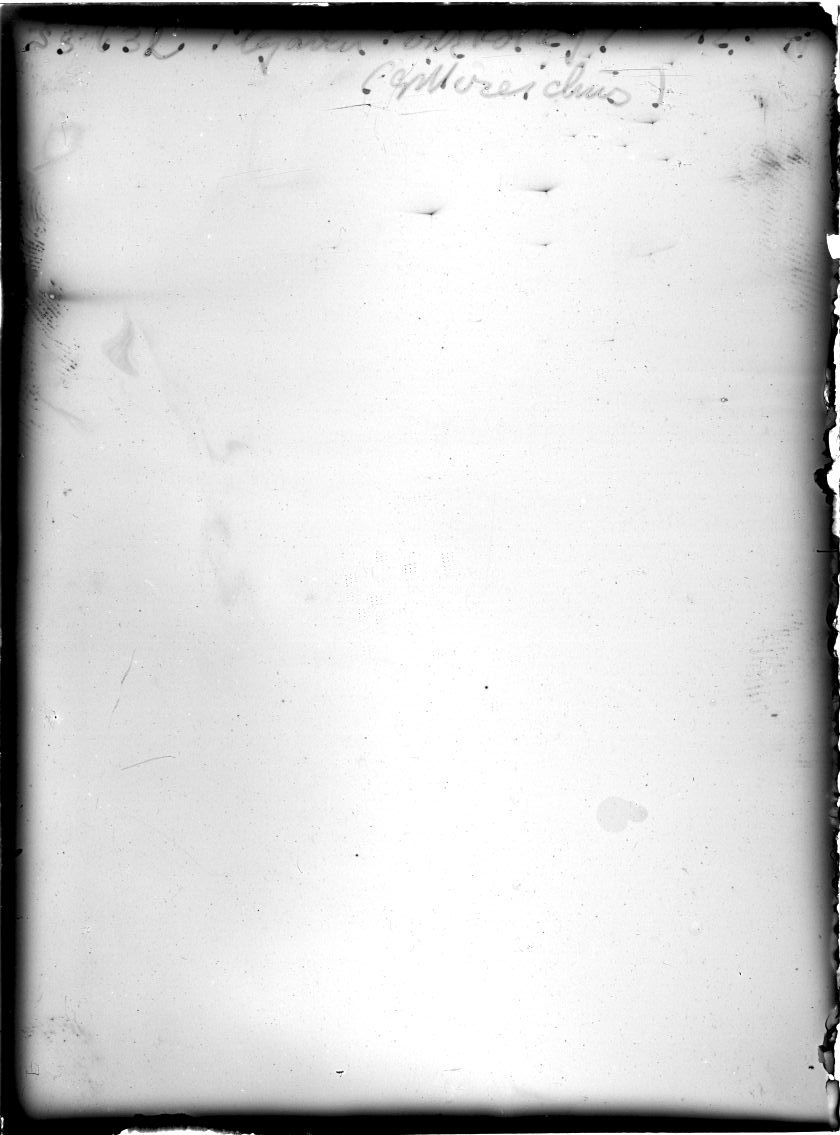Scan SS00632