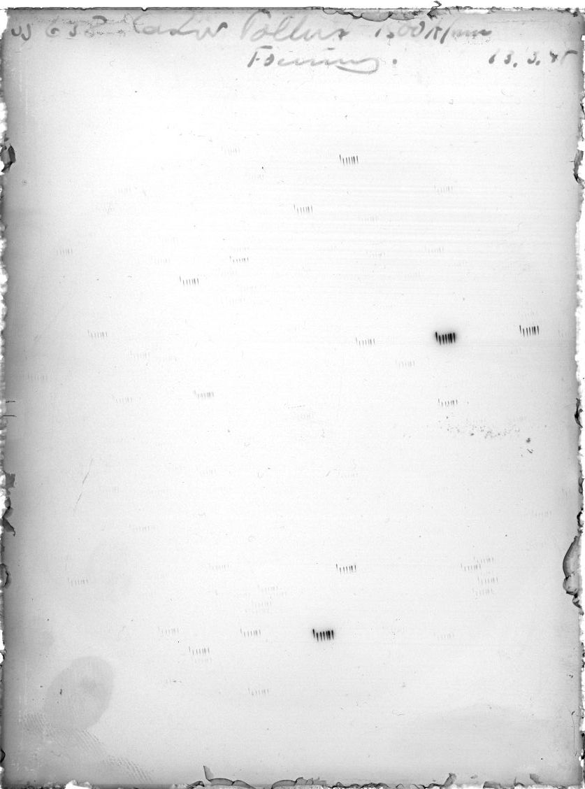 Scan SS00638