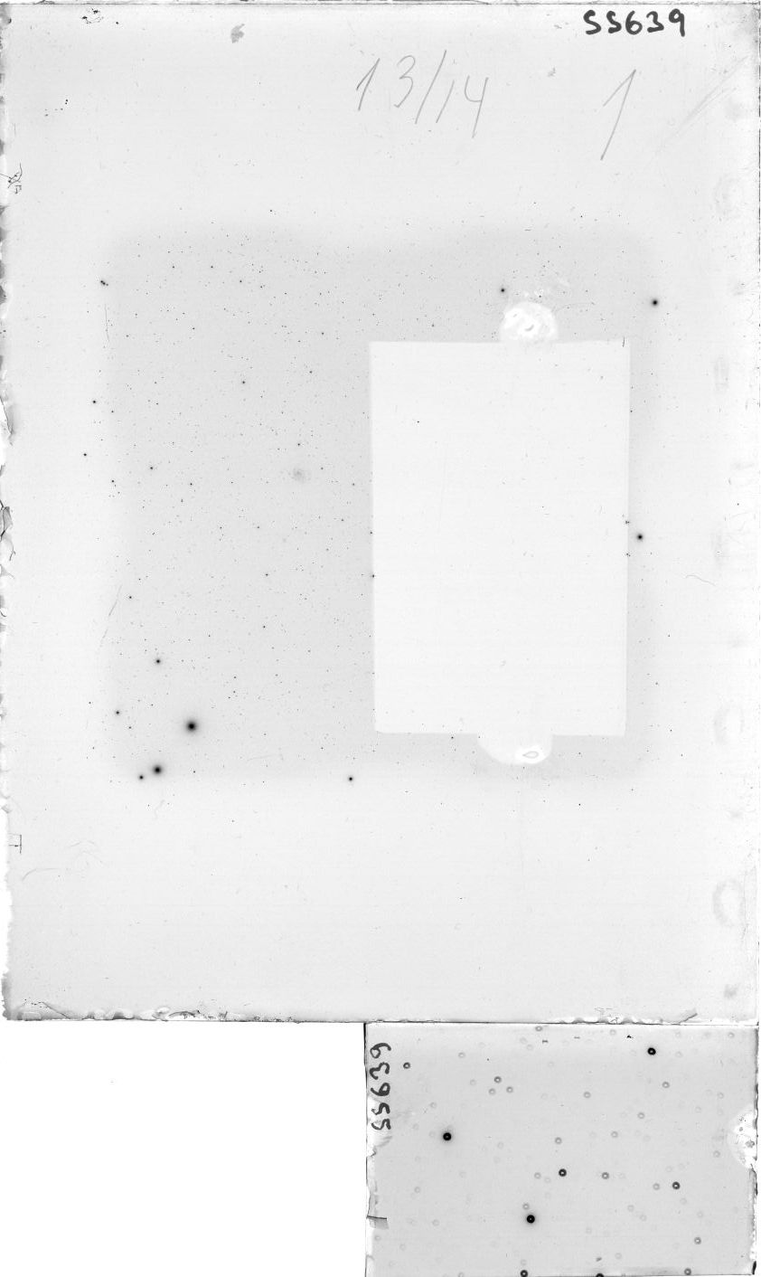 Scan SS00639