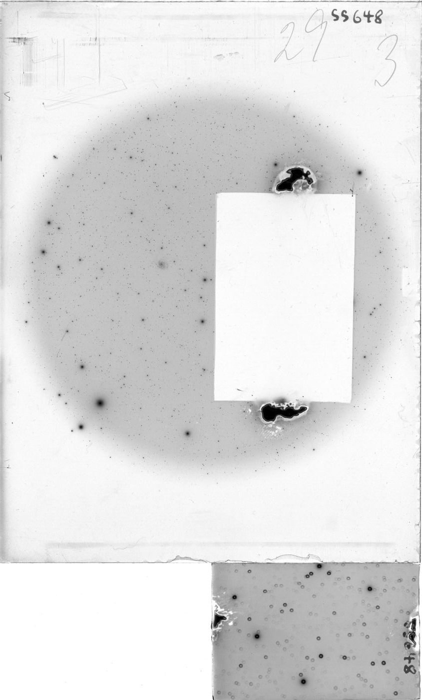 Scan SS00648