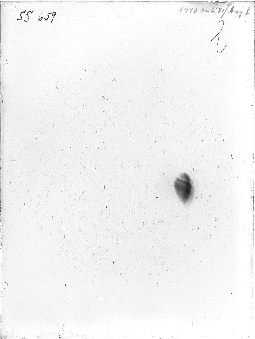 Scan SS00659