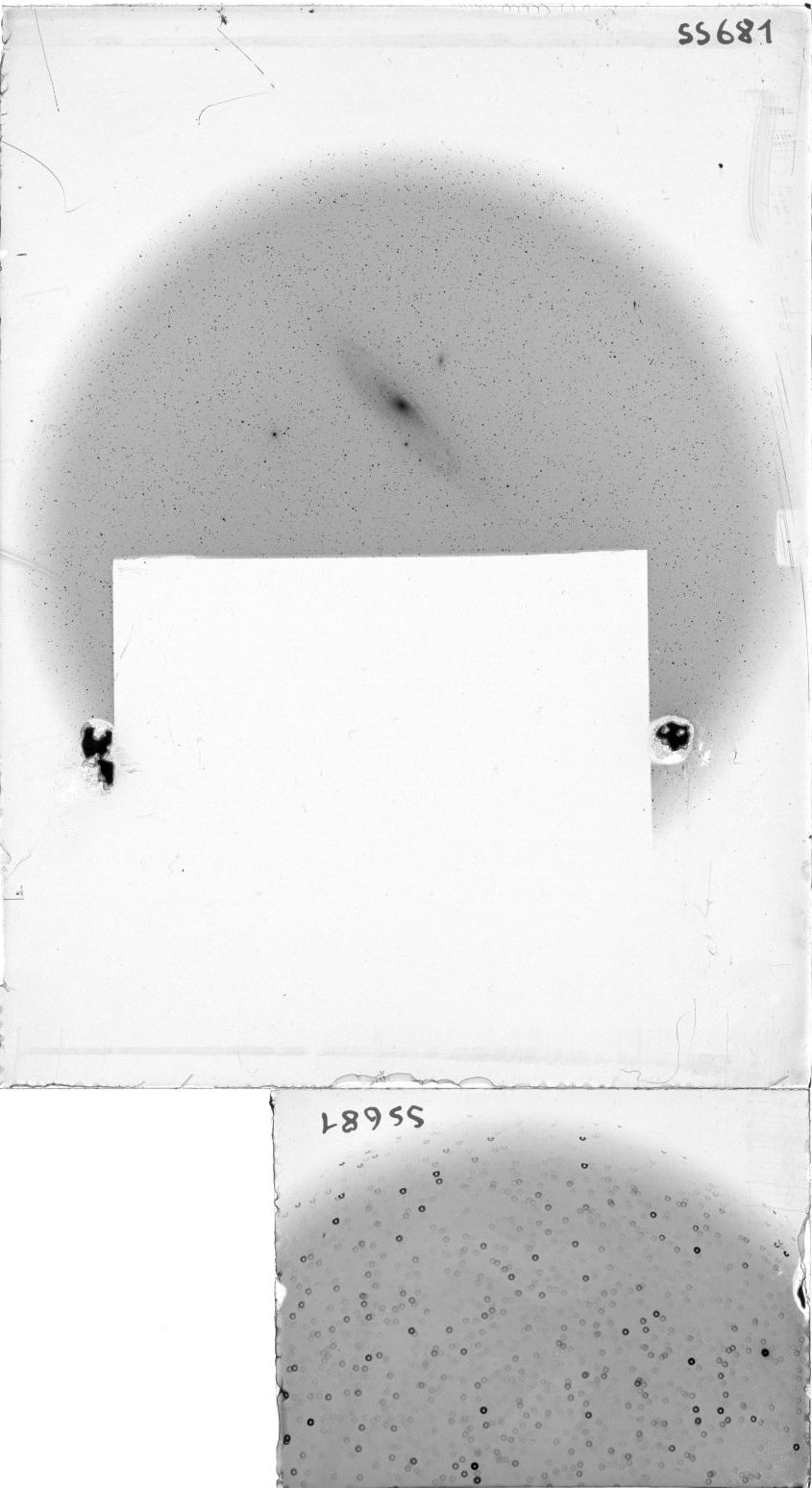 Scan SS00681