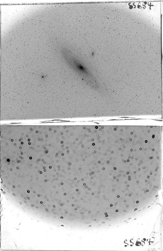 Scan SS00684