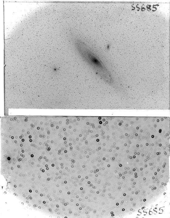 Scan SS00685