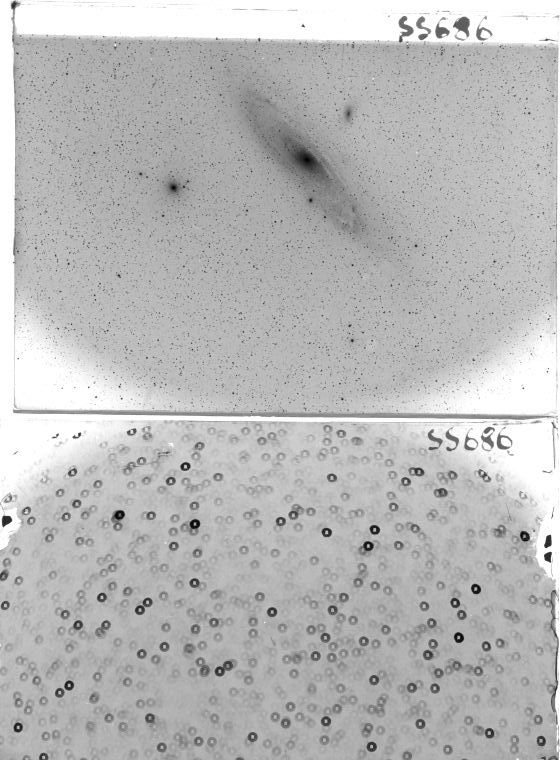 Scan SS00686
