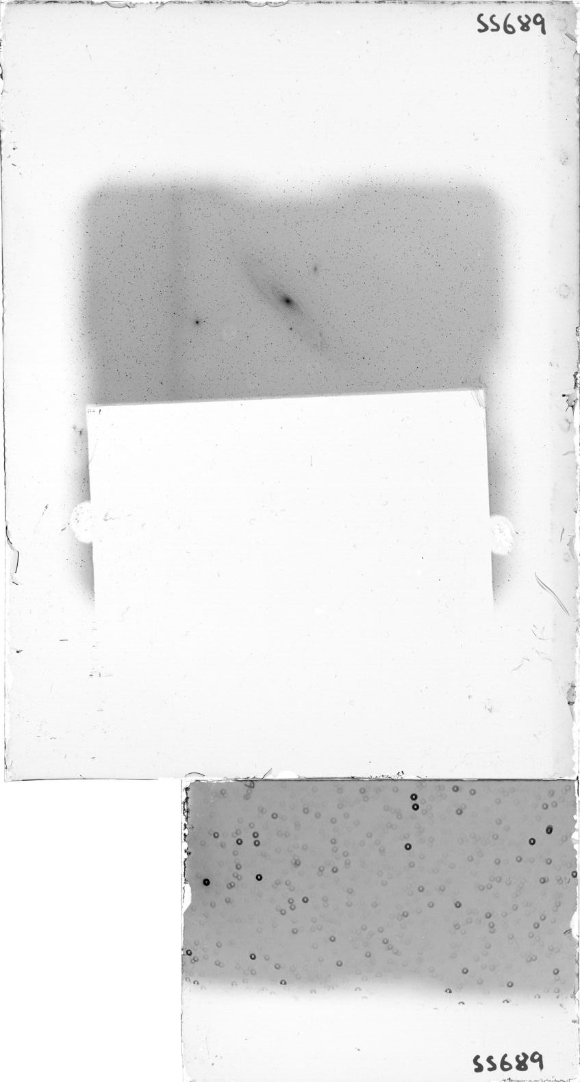 Scan SS00689