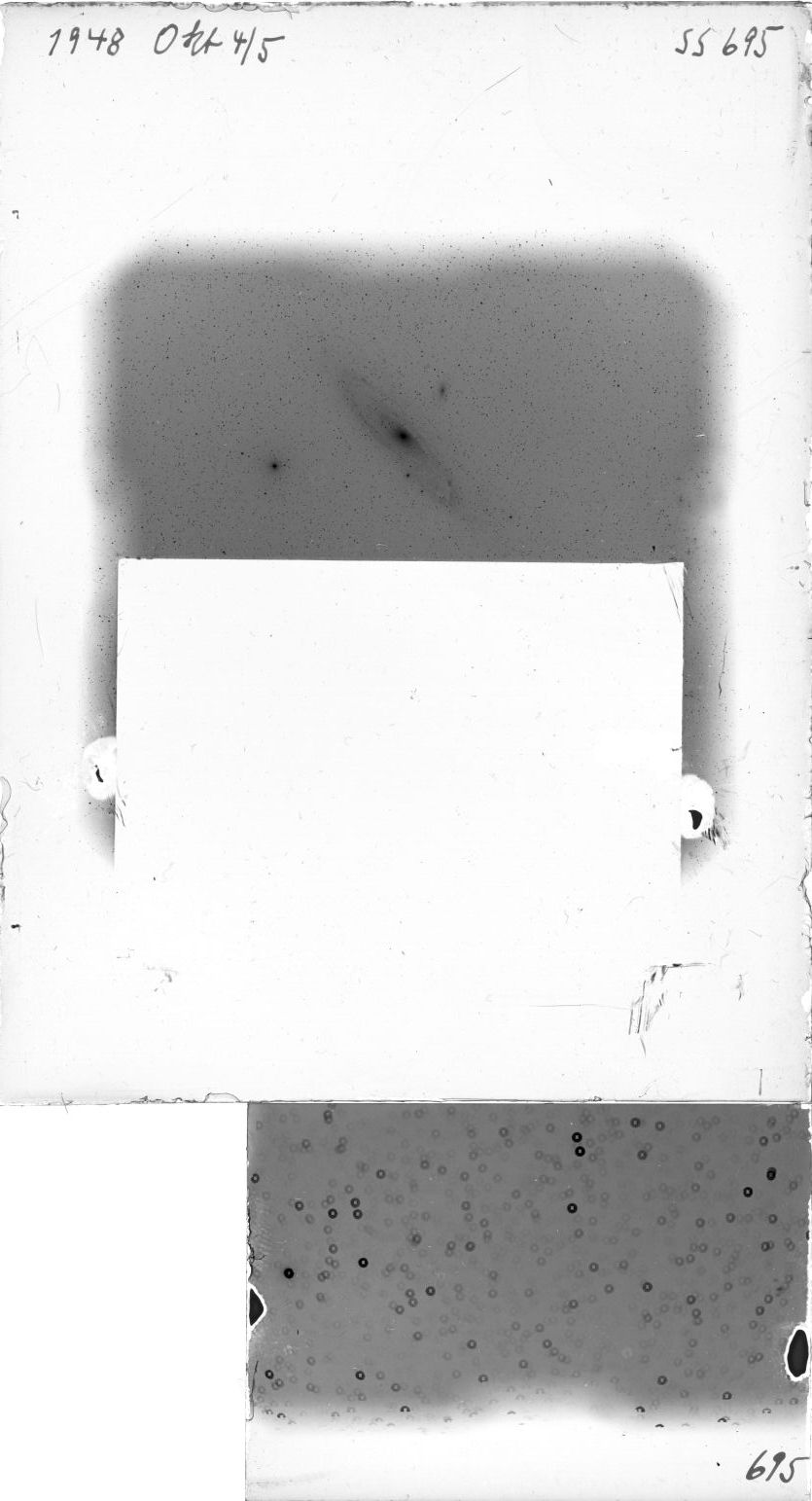 Scan SS00695