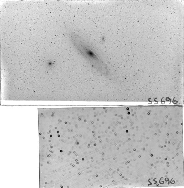 Scan SS00696