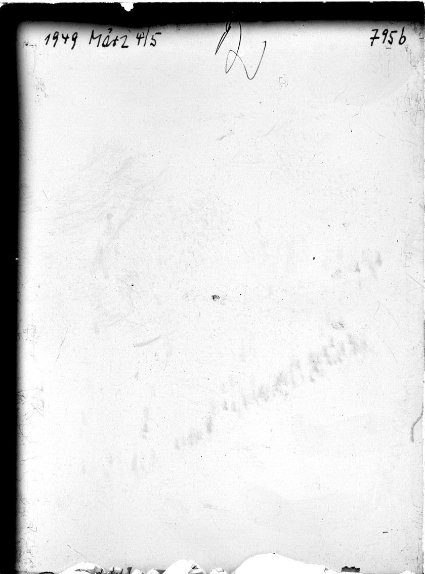 Scan SS00795b