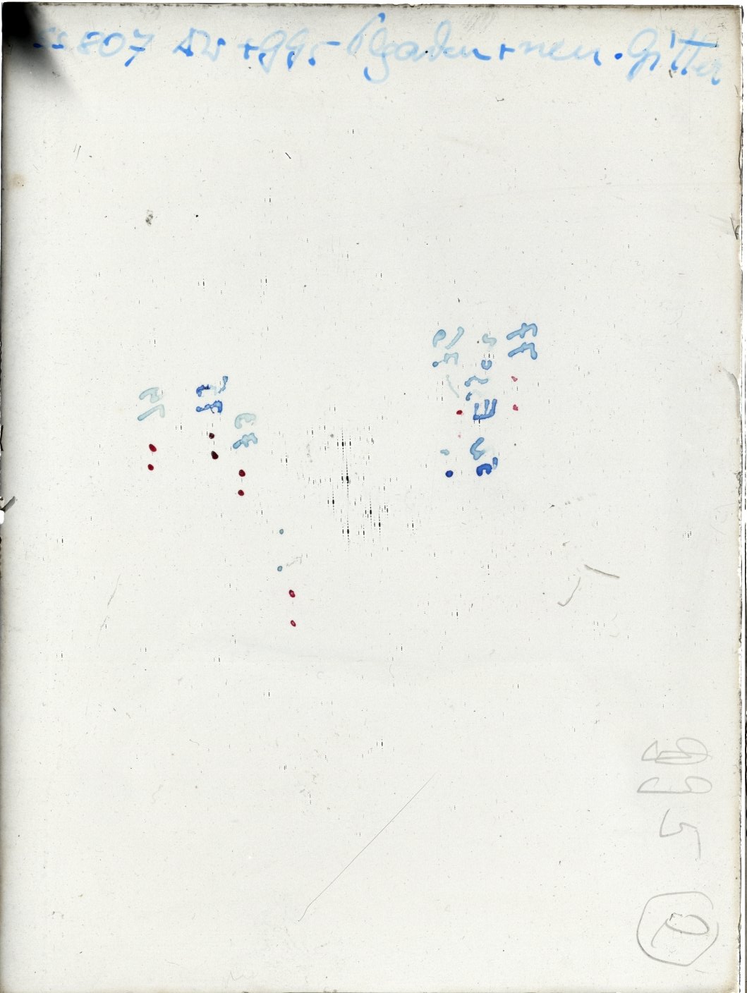 Scan SS00807