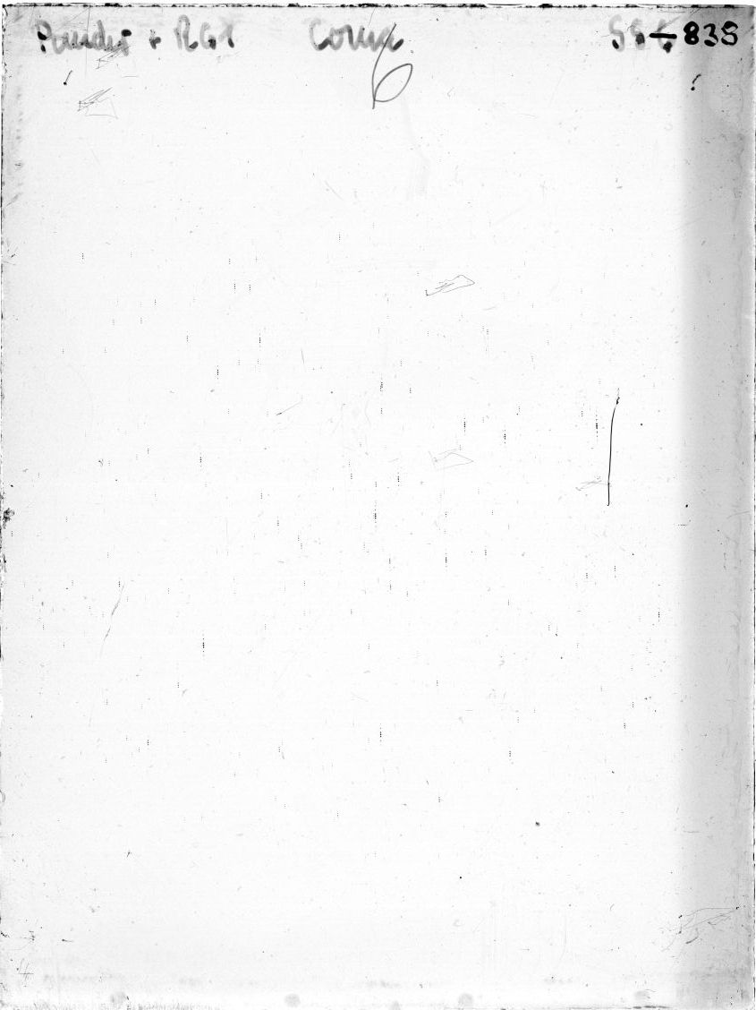 Scan SS00838