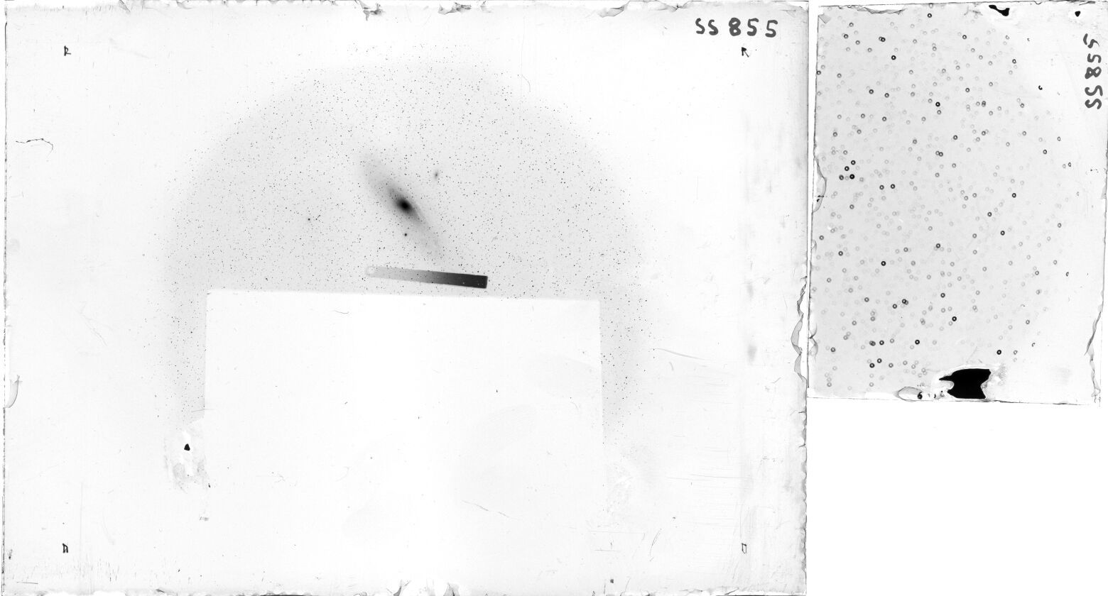 Scan SS00855