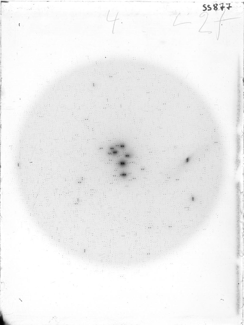 Scan SS00877