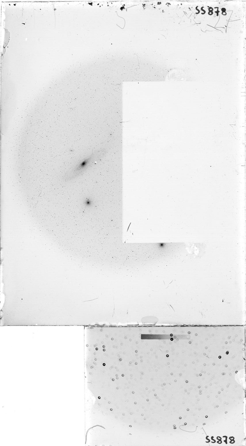 Scan SS00878