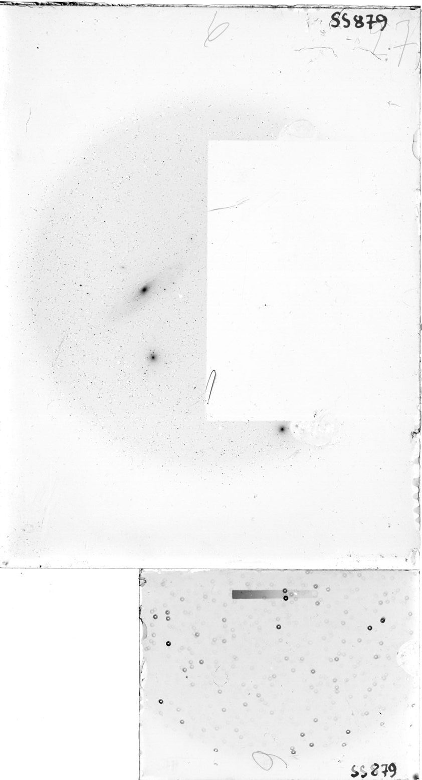 Scan SS00879