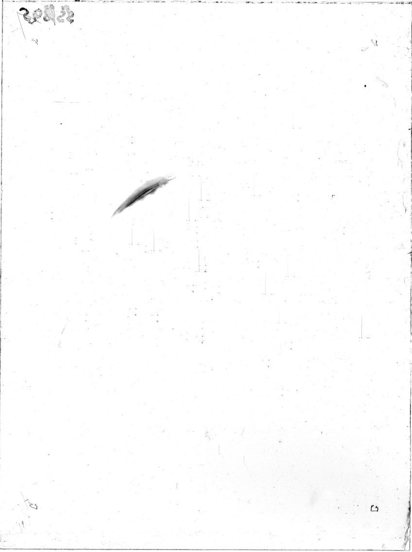Scan SS00895