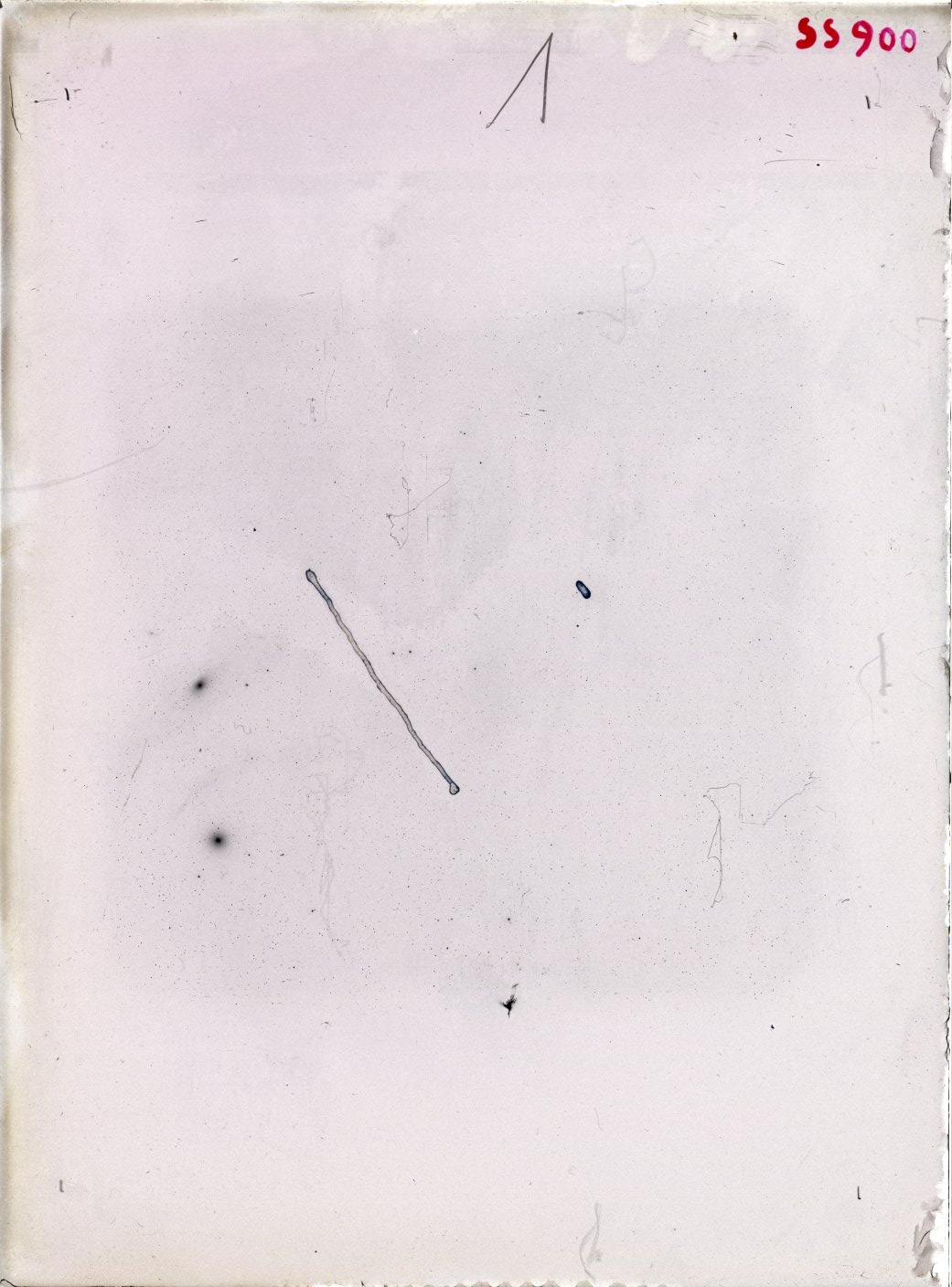 Scan SS00900