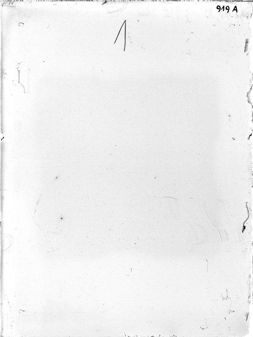 Scan SS00919a