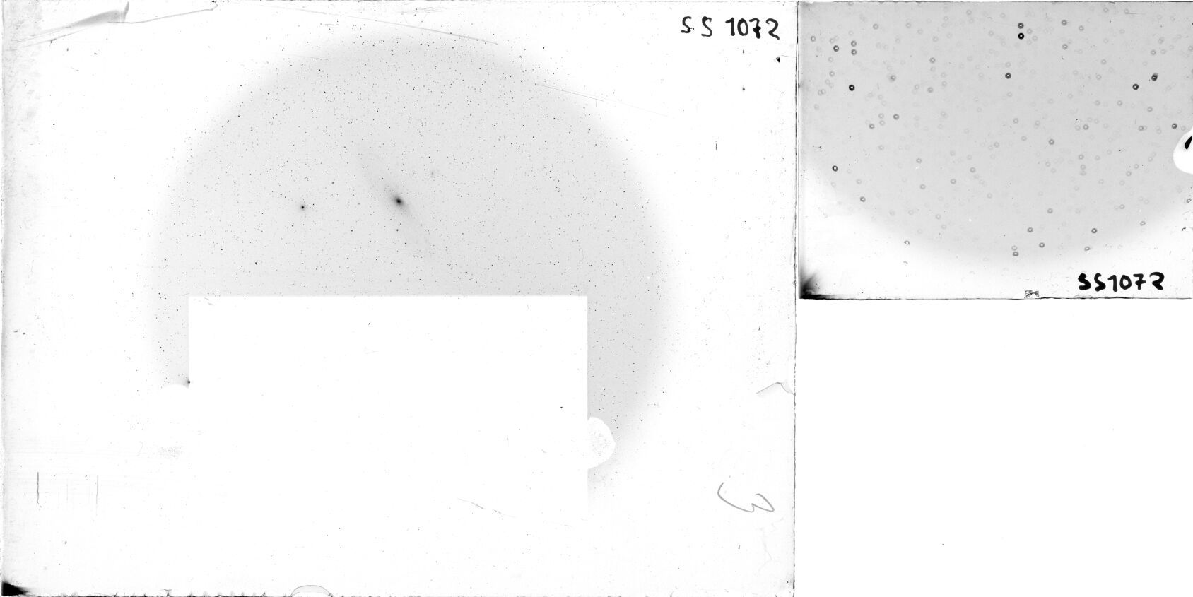 Scan SS01072