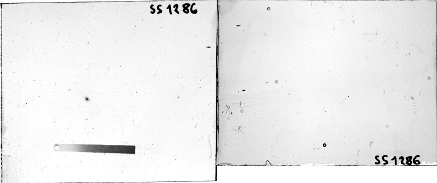 Scan SS01286