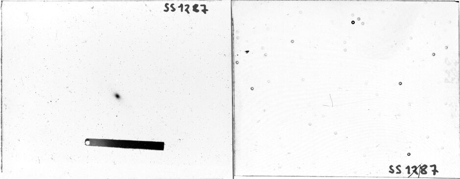 Scan SS01287