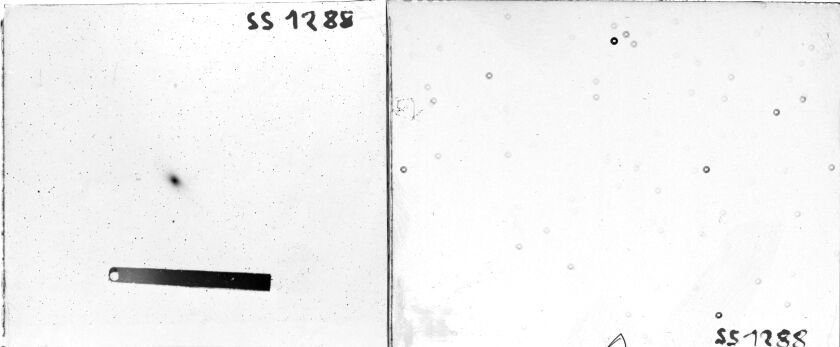 Scan SS01288