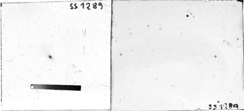 Scan SS01289