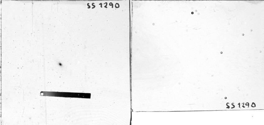 Scan SS01290