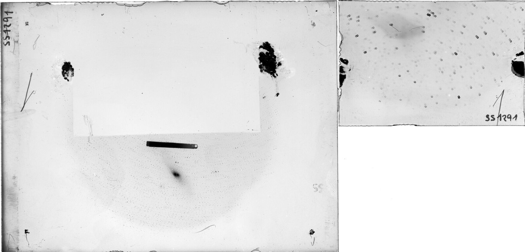 Scan SS01291