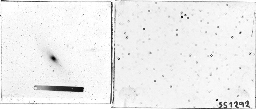 Scan SS01292