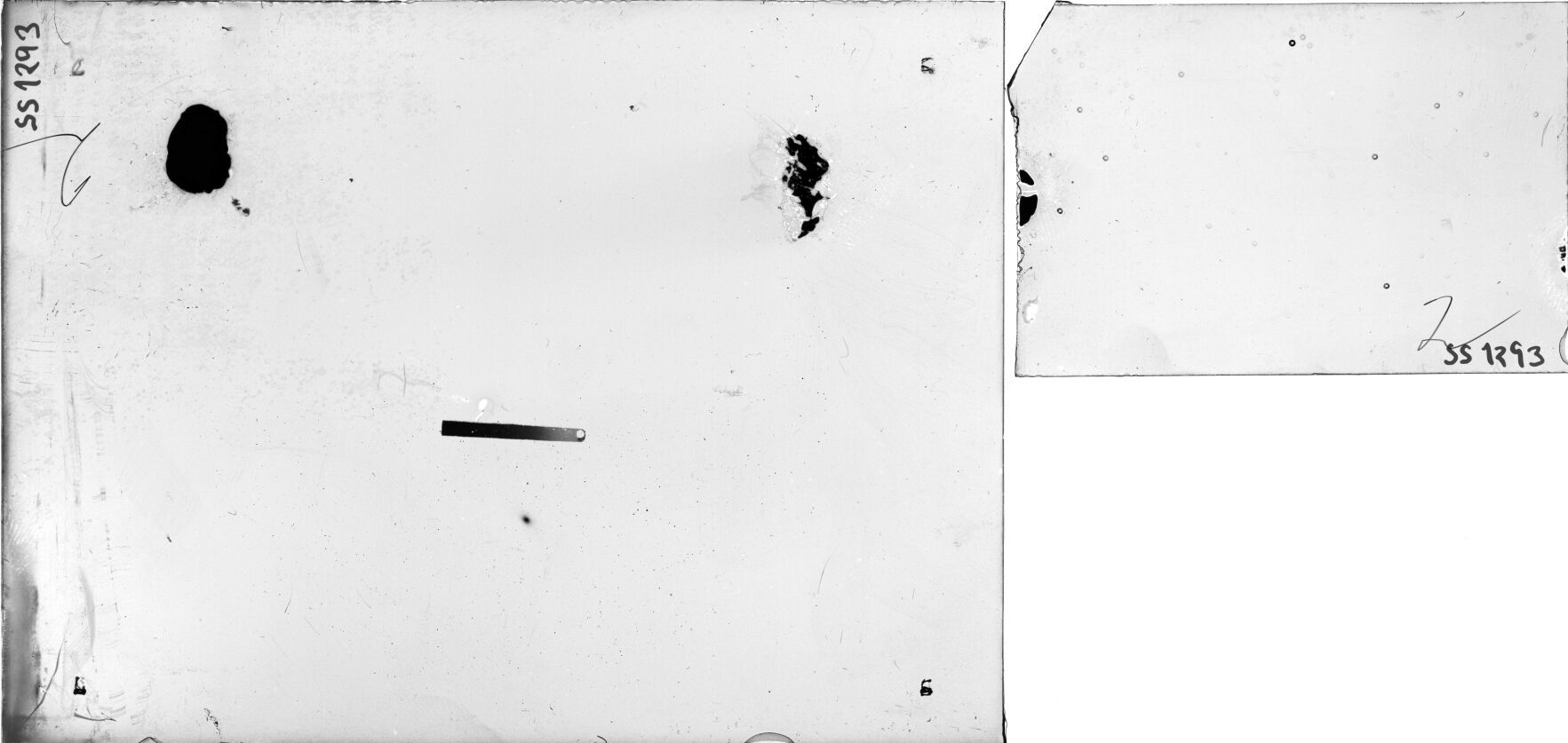 Scan SS01293