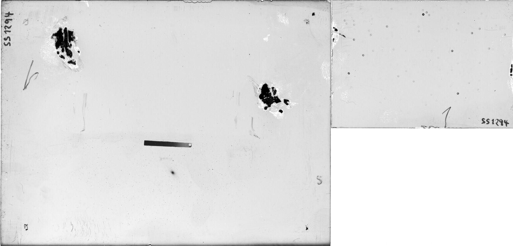 Scan SS01294