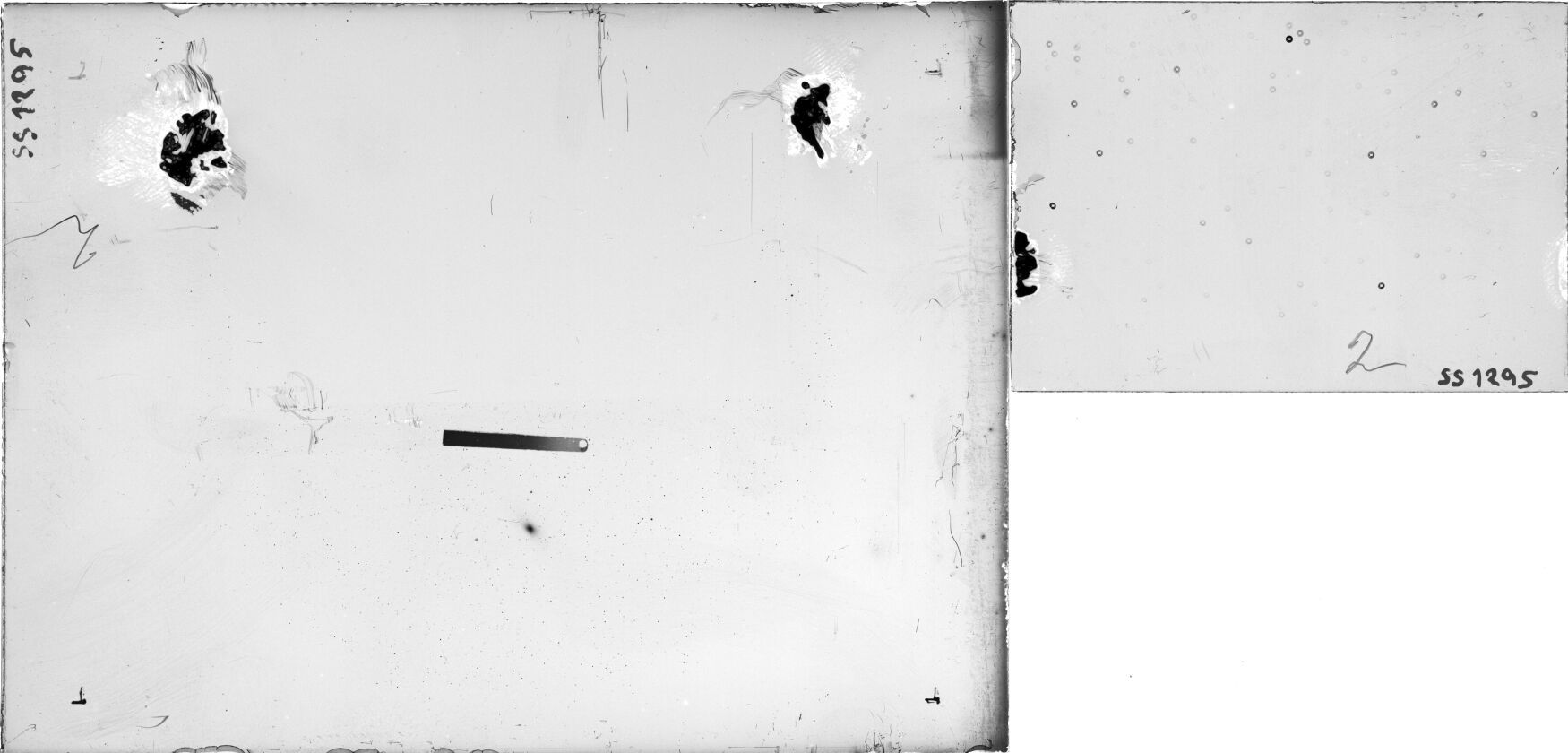 Scan SS01295