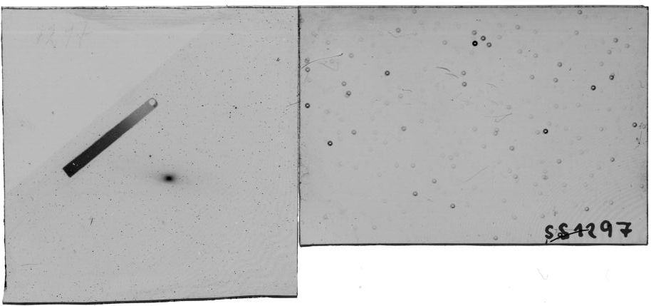 Scan SS01297