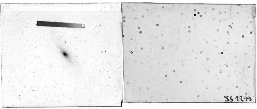 Scan SS01299