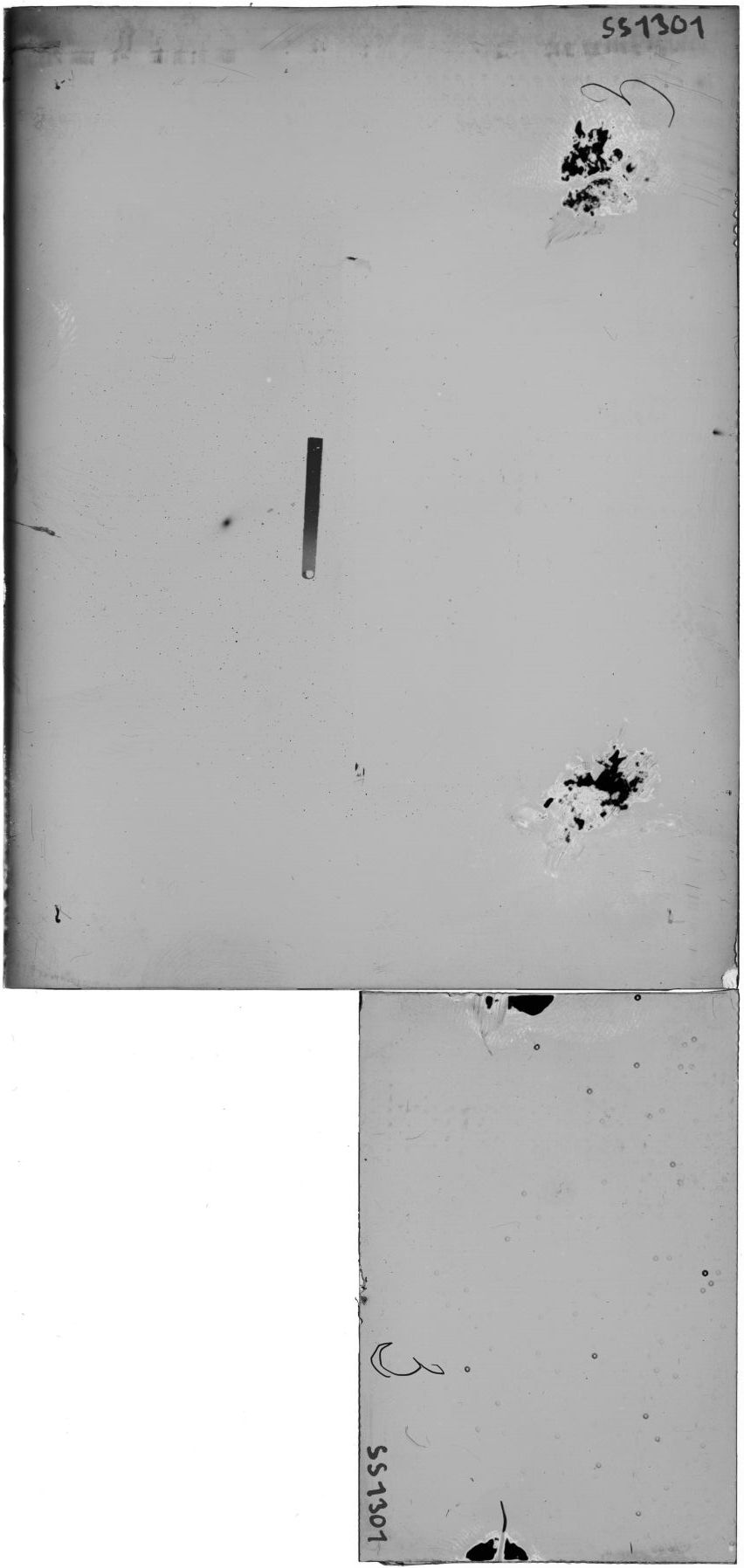 Scan SS01301