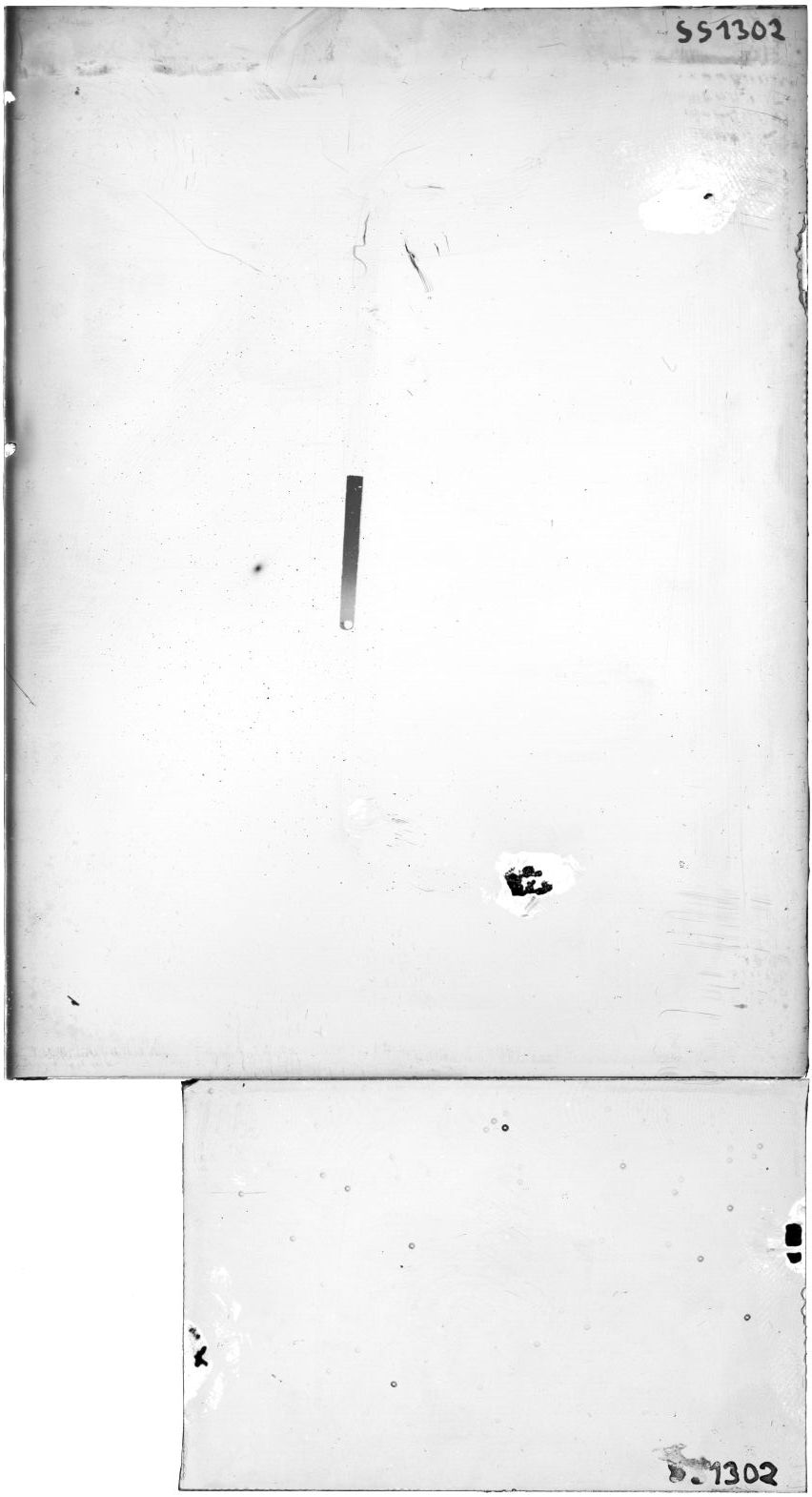 Scan SS01302