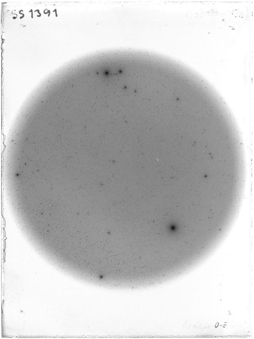 Scan SS01391