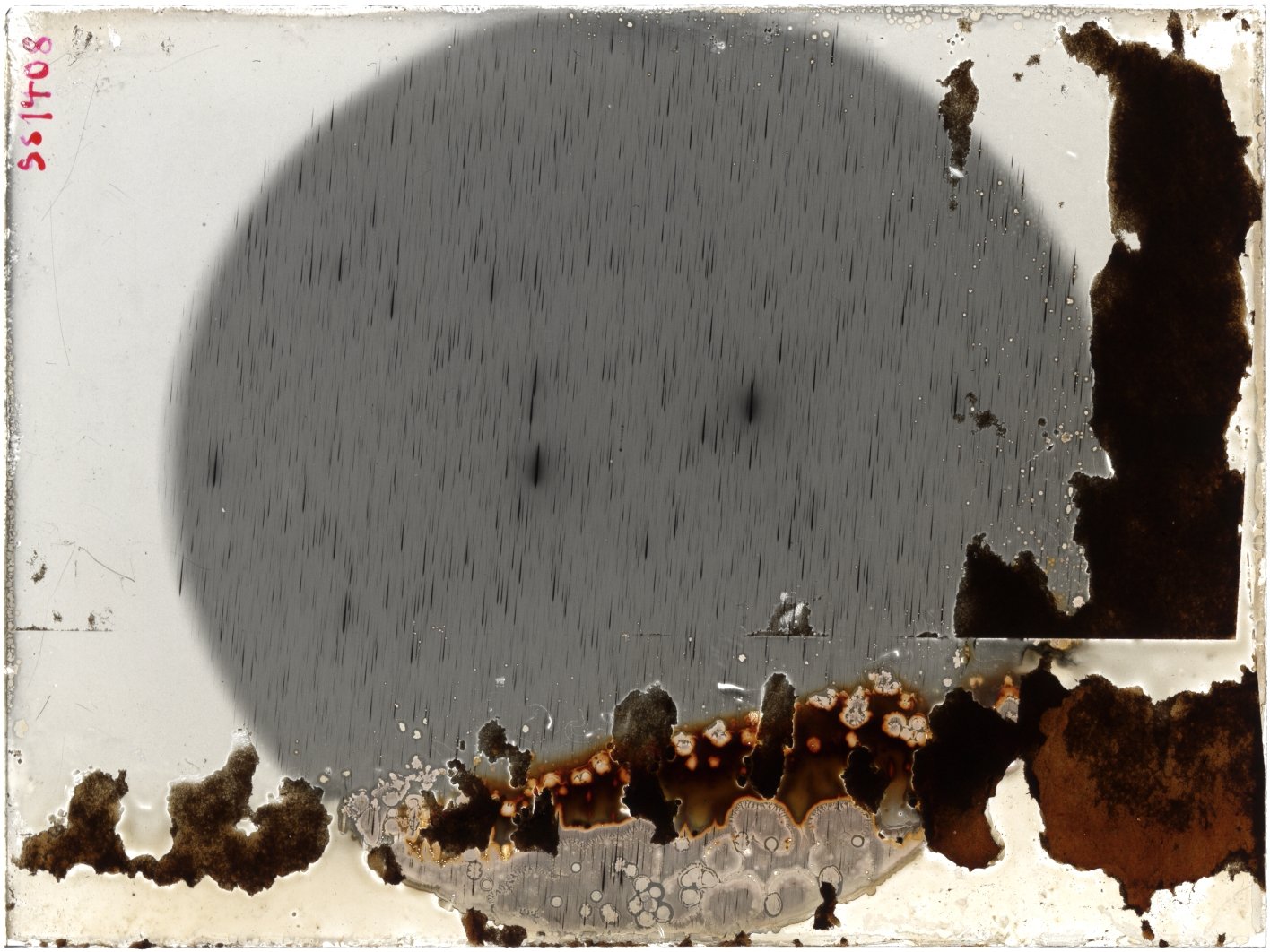 Scan SS01408