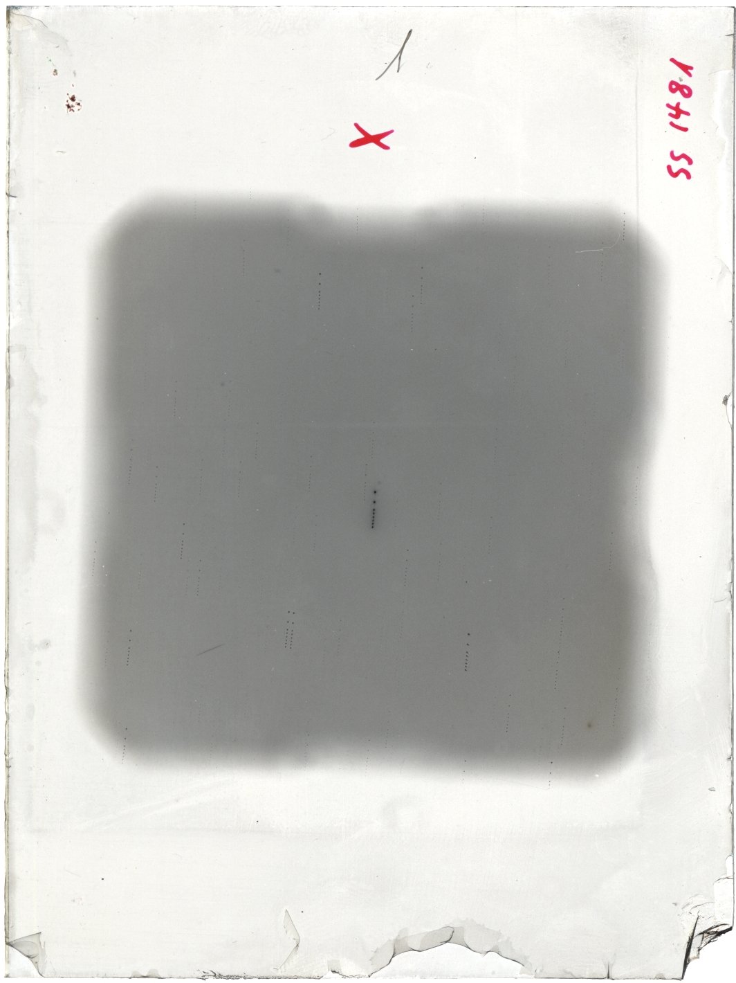 Scan SS01481