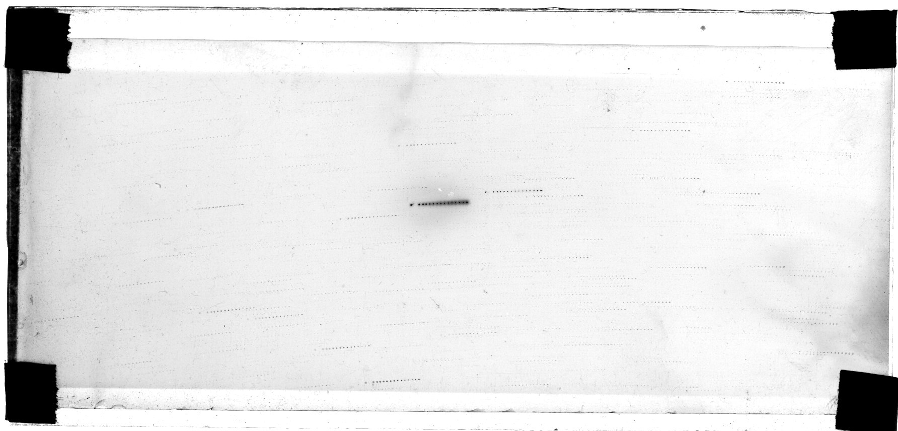 Scan SS00000X